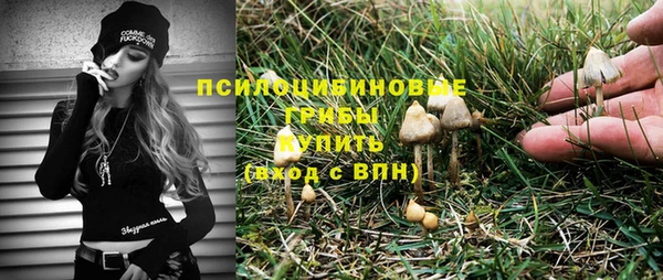 винт Армянск
