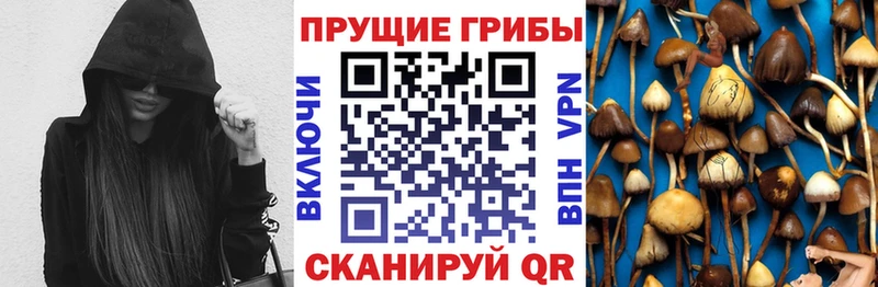 Купить где Емва Галлюциногенные грибы мицелий